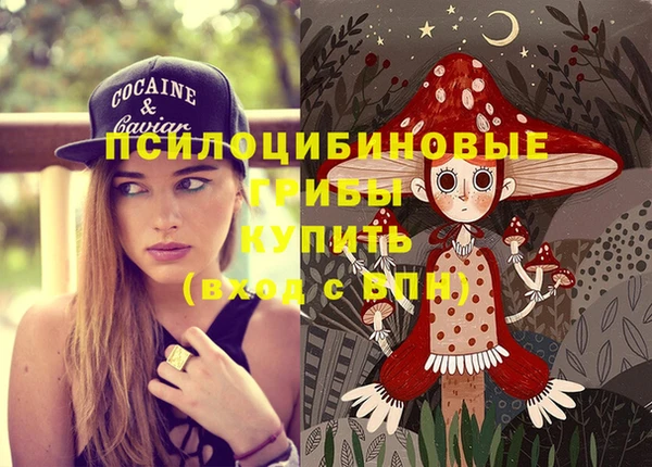 MDMA Заволжск