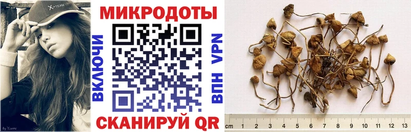 купить наркотики сайты  кракен рабочий сайт  Псилоцибиновые грибы прущие грибы  Ишимбай 